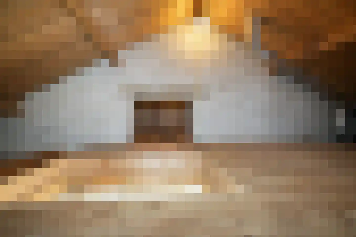Veldkampstraat 4 Hollandscheveld thumbnail 9