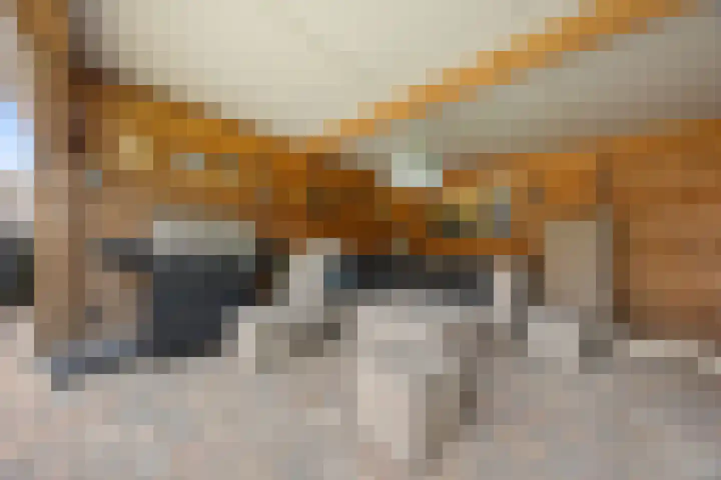 Veldkampstraat 6 Voorthuizen thumbnail 30