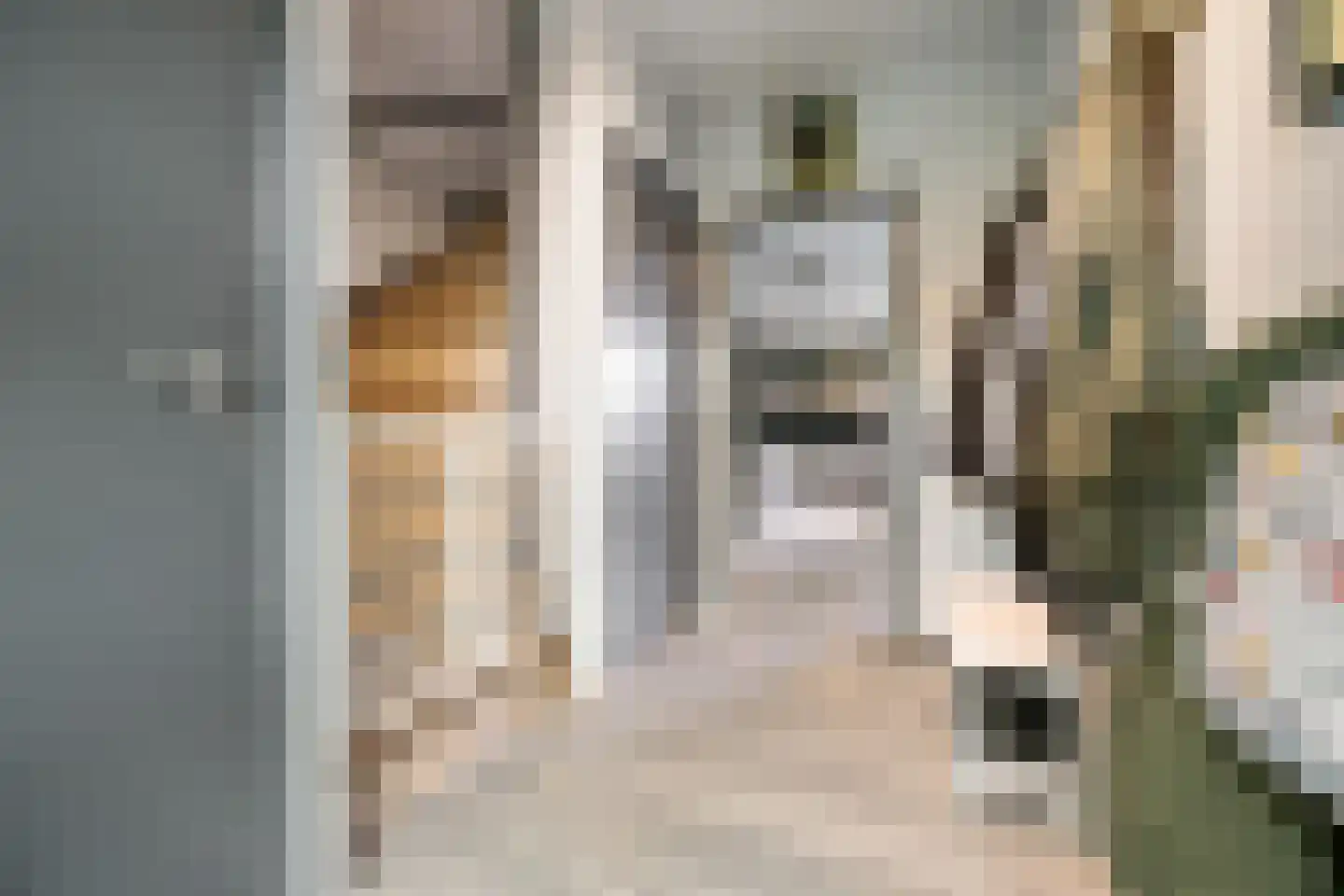 Veldkampstraat 6 Voorthuizen thumbnail 5