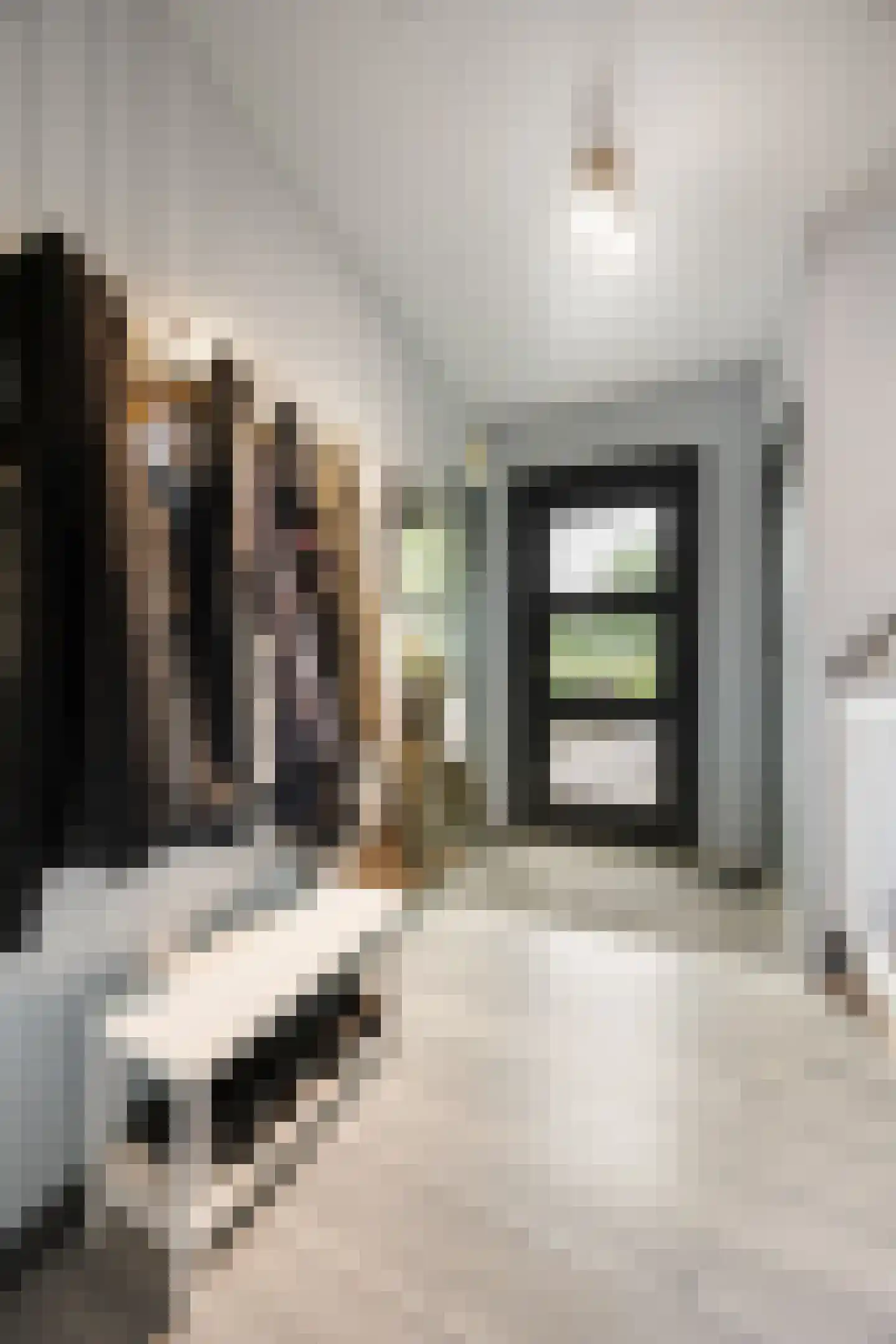 Veldkampstraat 6 Voorthuizen thumbnail 6