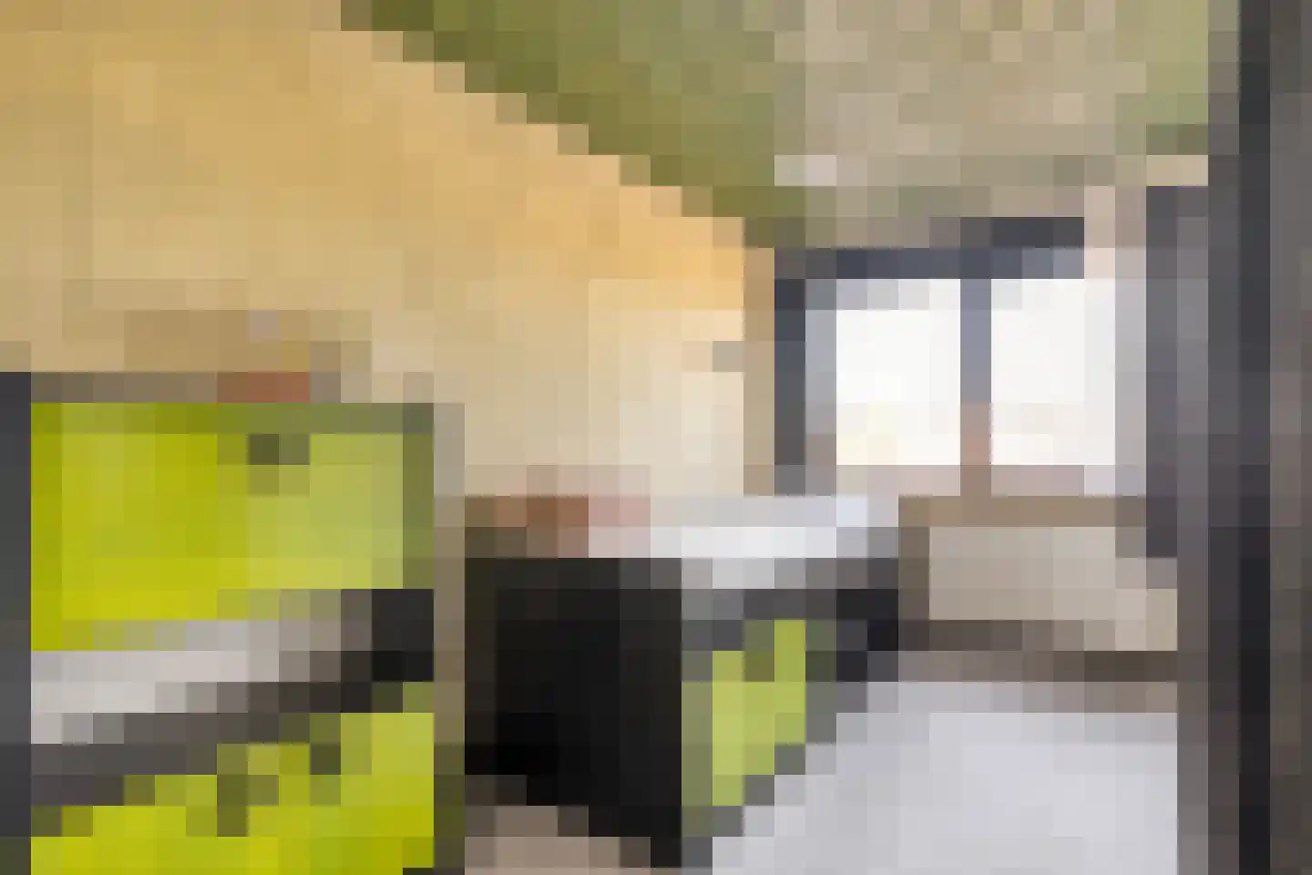 Veldkampsweg 16 Denekamp thumbnail 17