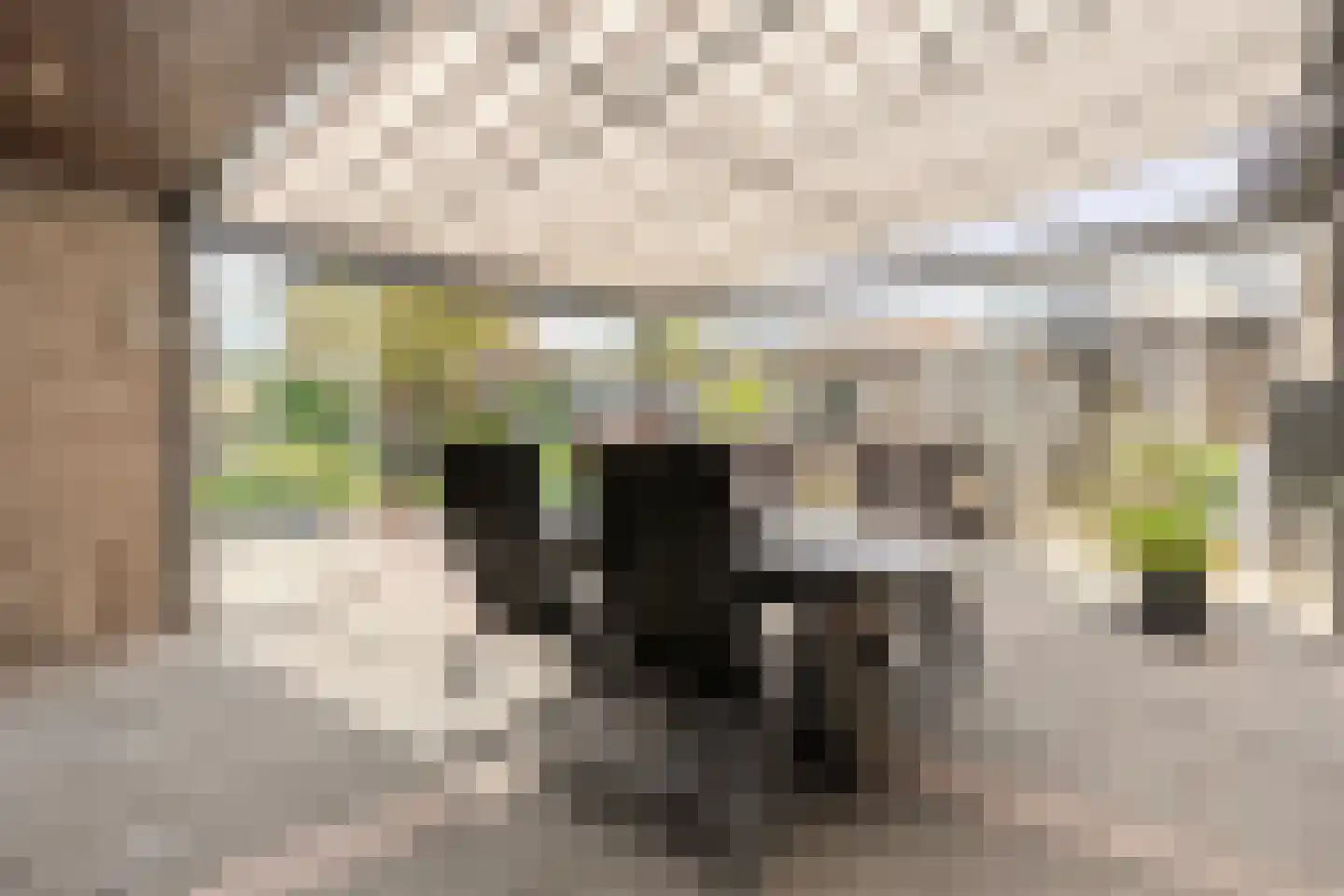 Veldkampsweg 16 Denekamp thumbnail 25
