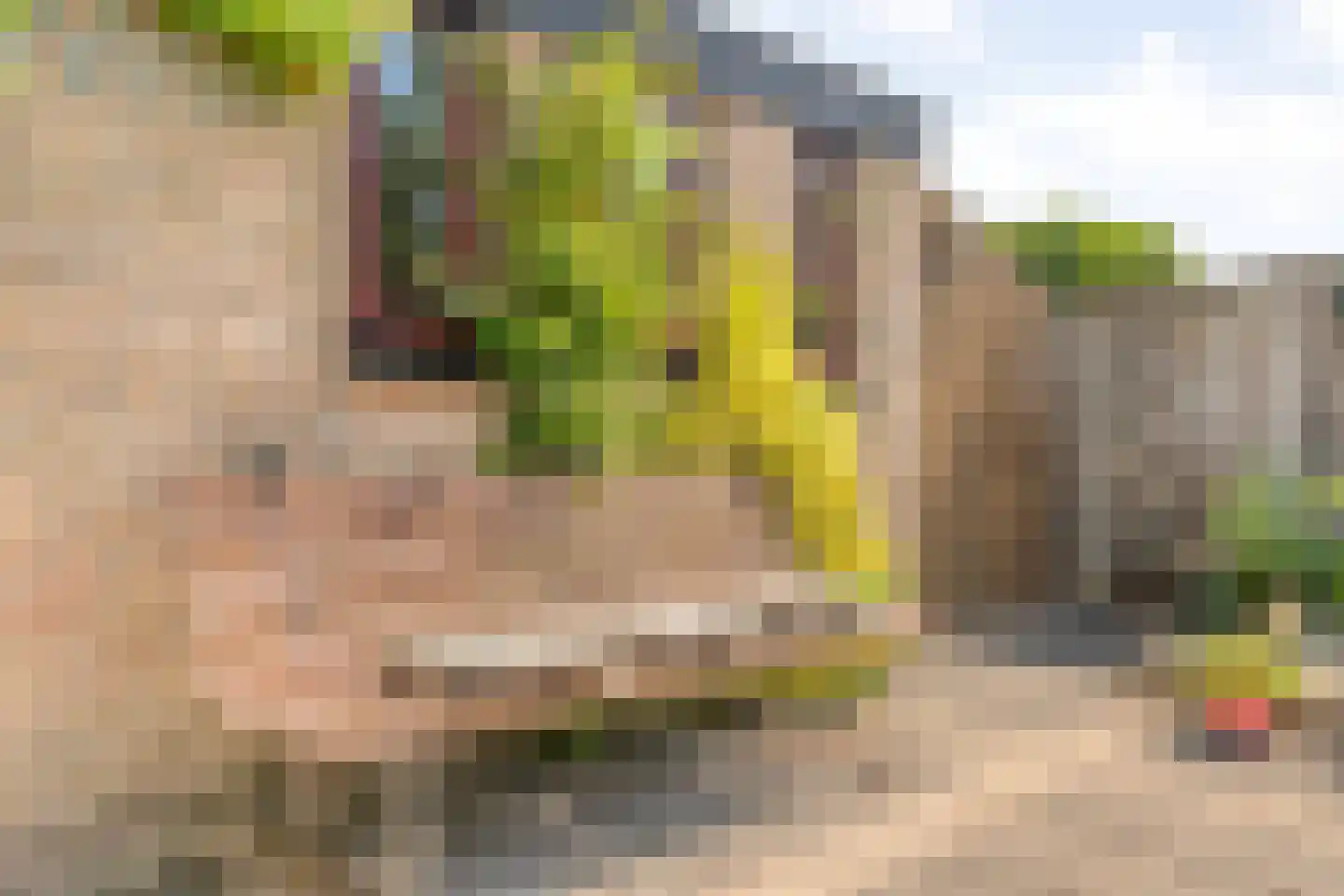 Veldkampsweg 16 Denekamp thumbnail 29