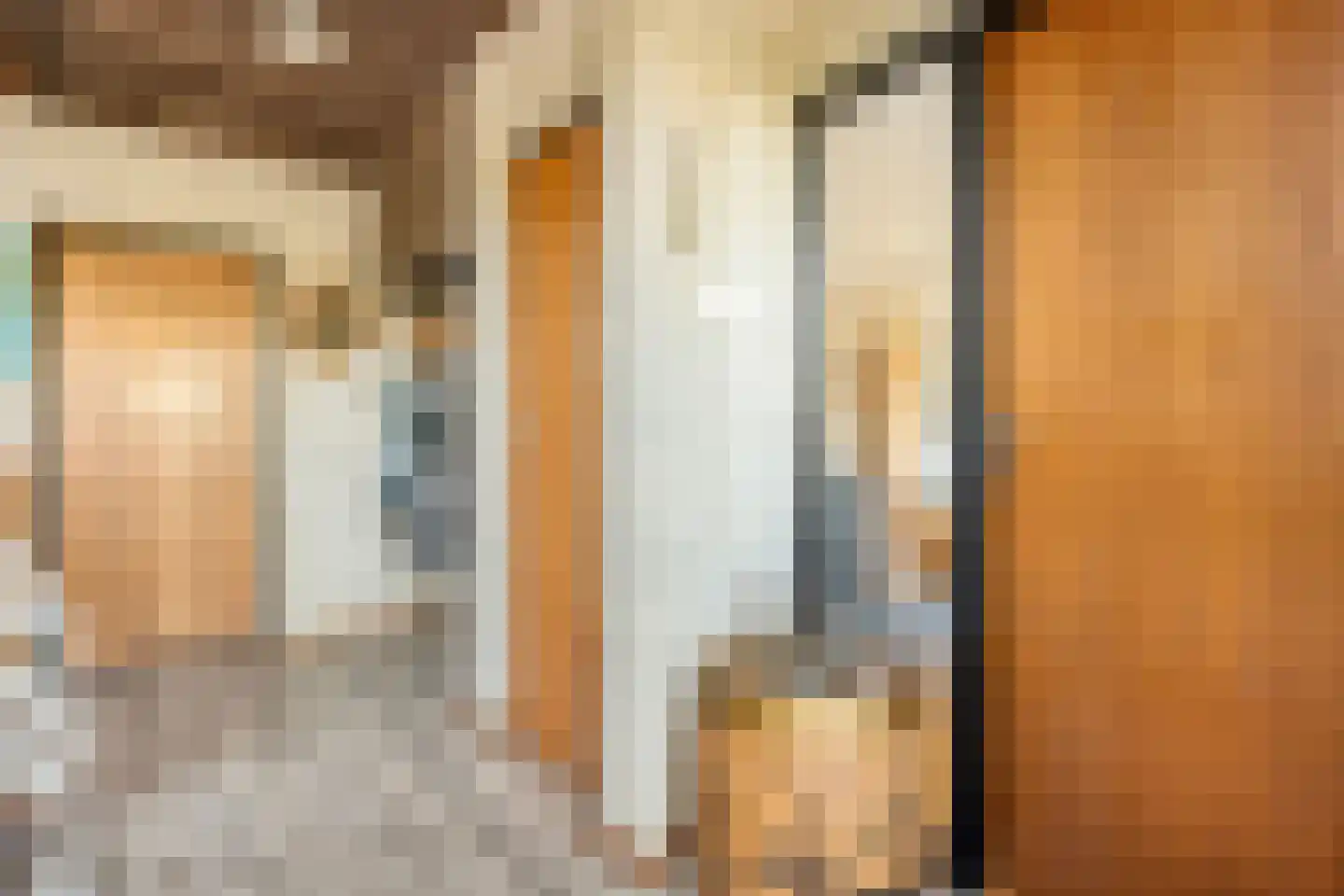 Veldkampsweg 16 Denekamp thumbnail 6