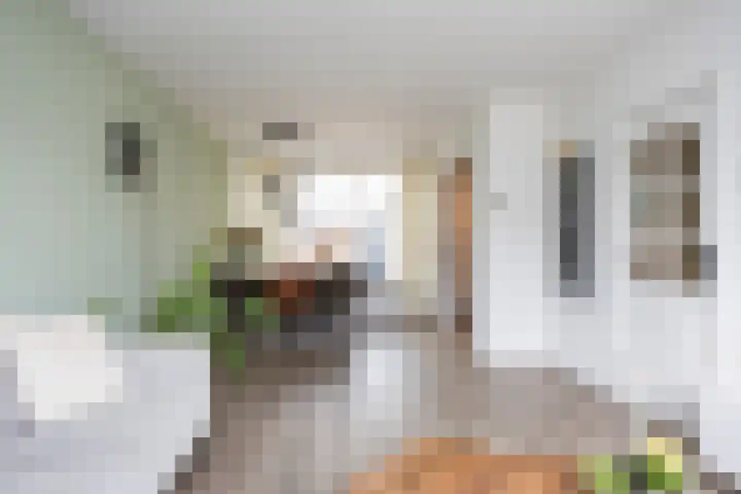 Veldkampsweg 21 Denekamp thumbnail 10