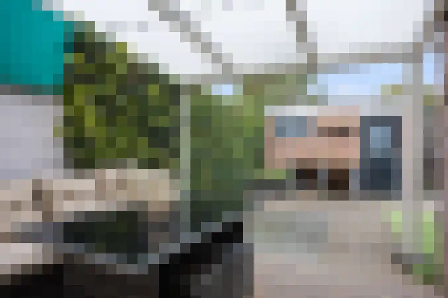 Veldkampsweg 21 Denekamp thumbnail 26