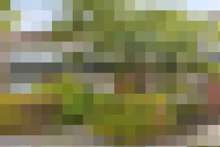 Veldkampsweg 22 Denekamp thumbnail 20