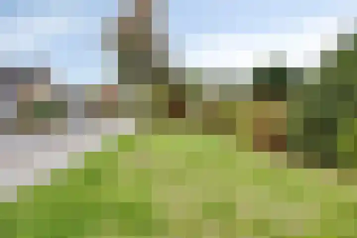 Veldkampsweg 22 Denekamp thumbnail 22