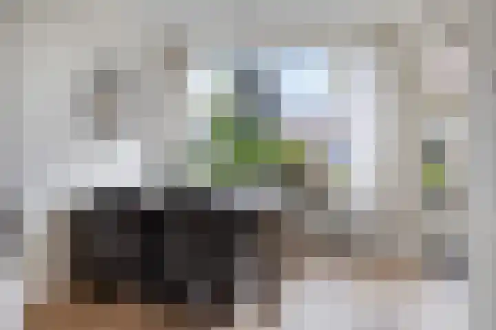 Veldkampsweg 22 Denekamp thumbnail 4