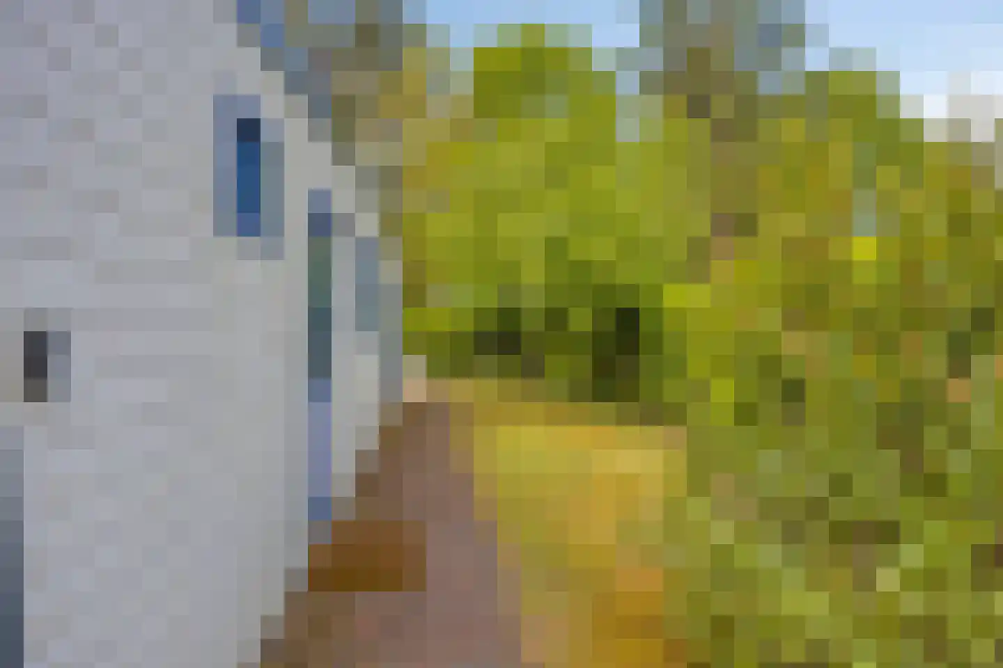 Veldkampweg 2 066 Epe thumbnail 14