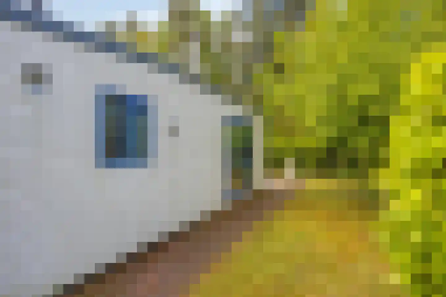 Veldkampweg 2 066 Epe thumbnail 15