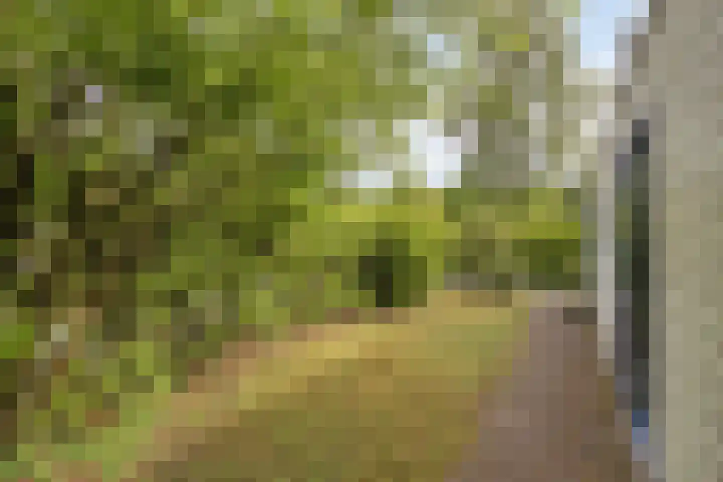Veldkampweg 2 066 Epe thumbnail 19