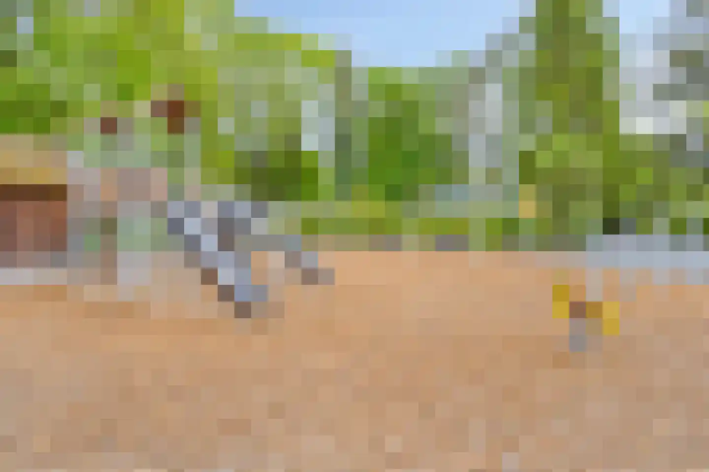Veldkampweg 2 066 Epe thumbnail 27