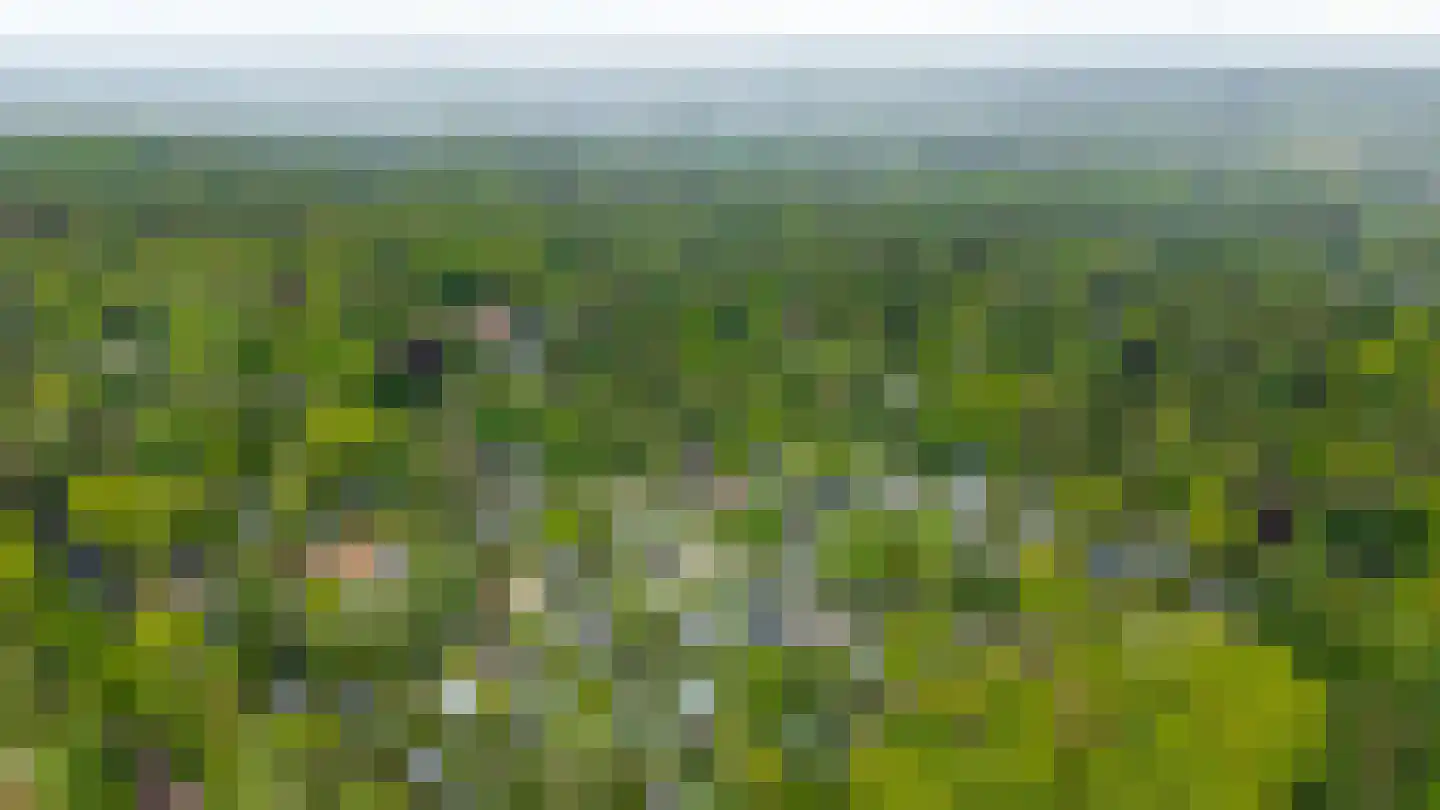 Veldkampweg 2 066 Epe thumbnail 31
