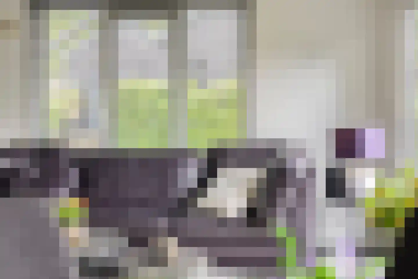 Veldkampweg 2 066 Epe thumbnail 4