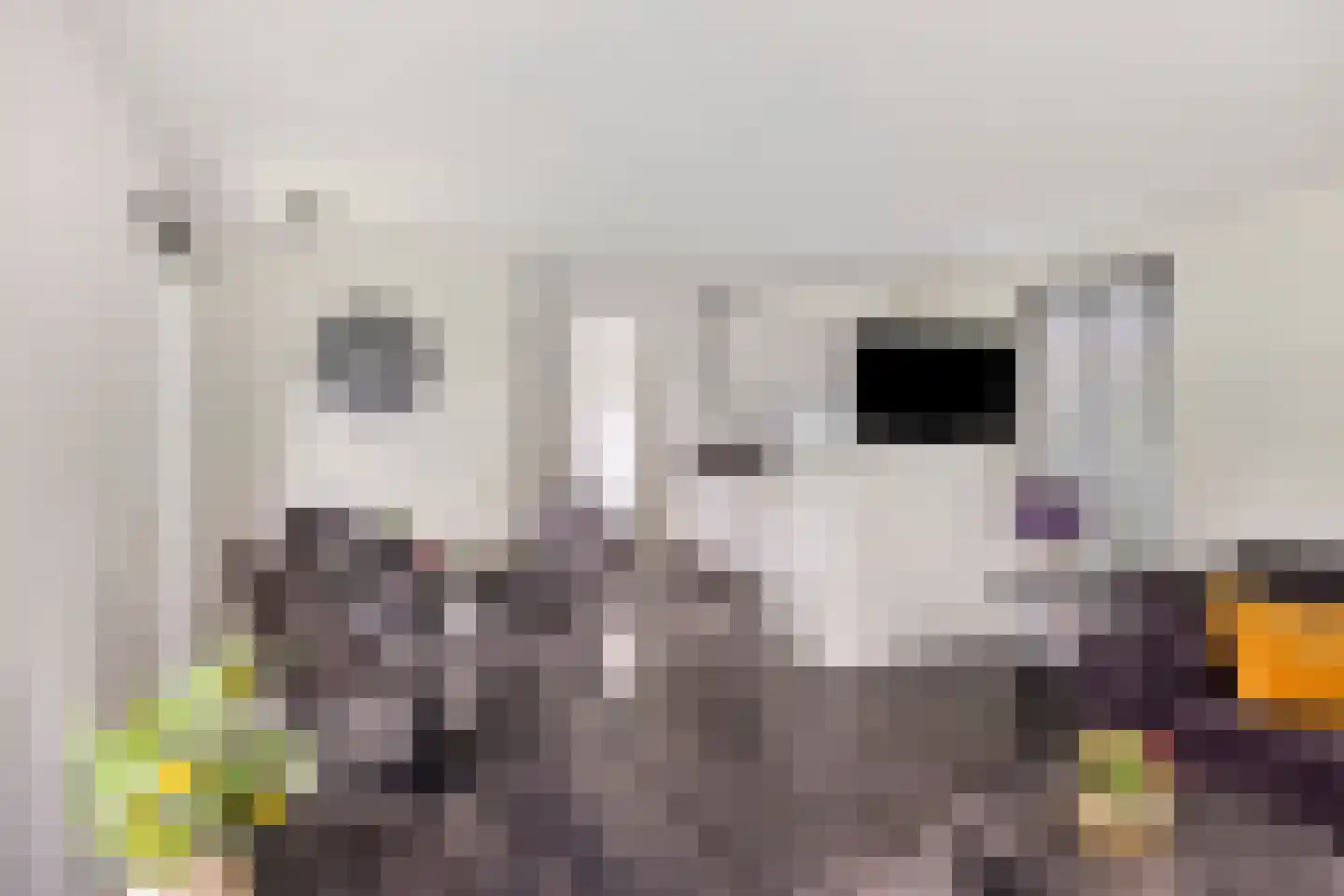Veldkampweg 2 066 Epe thumbnail 5