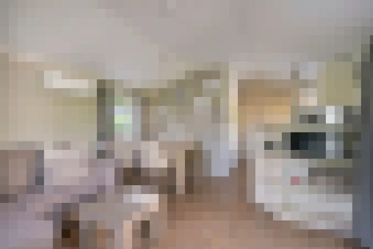 Veldkampweg 2 066 Epe thumbnail 5