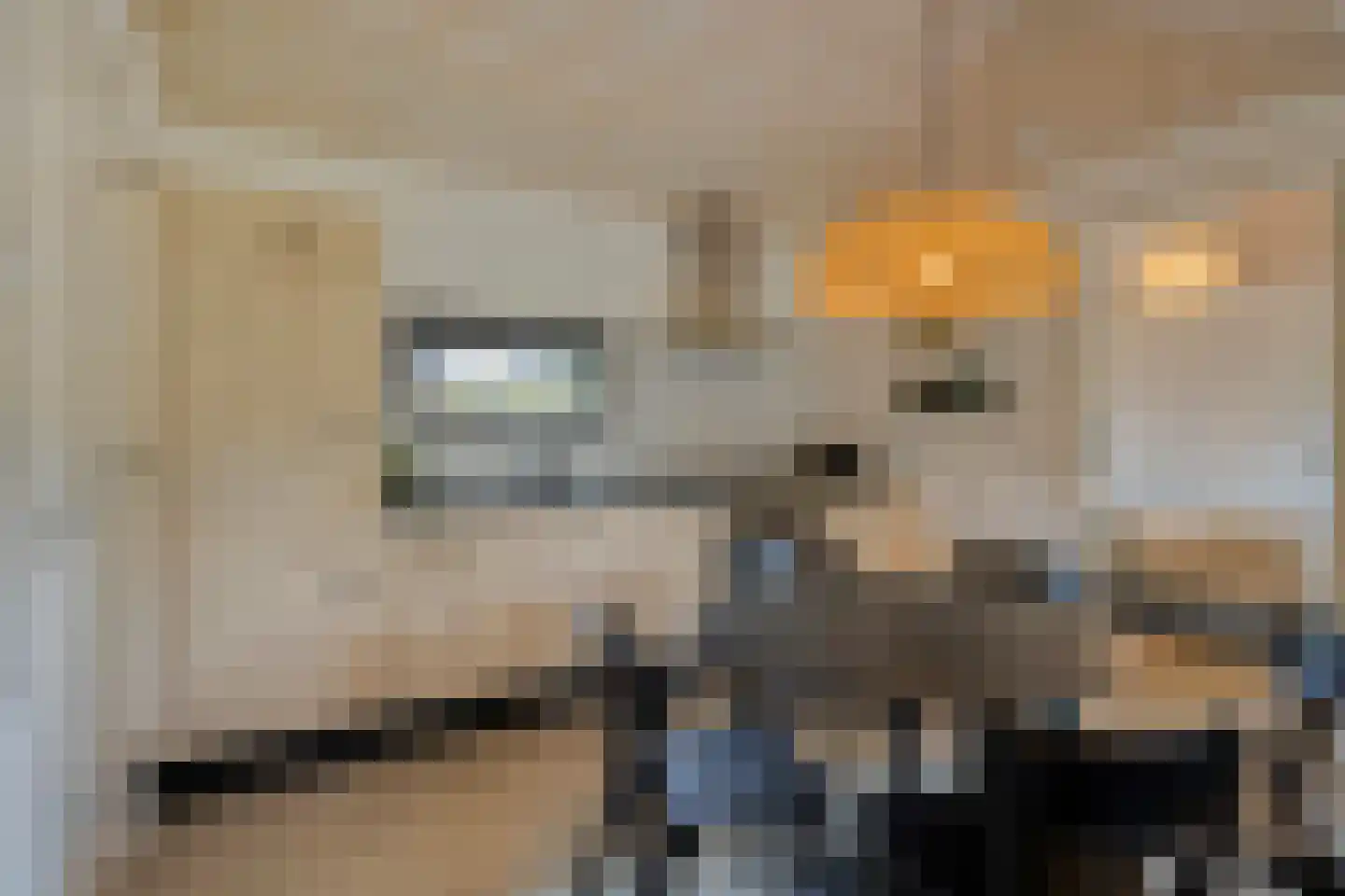 Veldkampweg 2 066 Epe thumbnail 9
