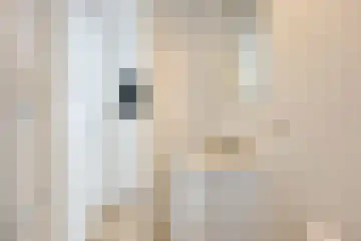 Veldkampweg 2 131 Epe thumbnail 10