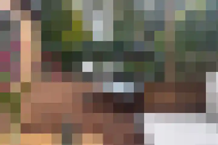 Veldkampweg 2 131 Epe thumbnail 13