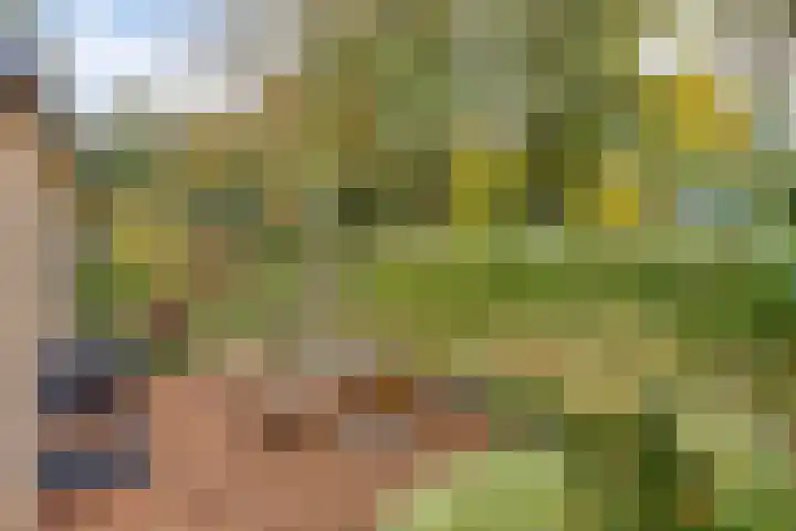 Veldkampweg 2 131 Epe thumbnail 17