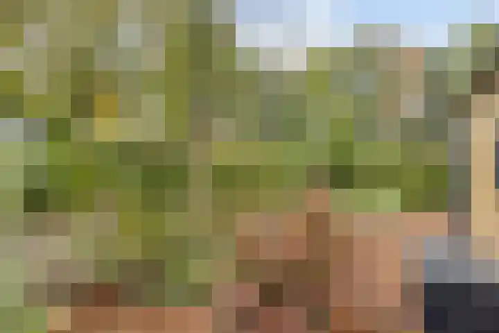 Veldkampweg 2 131 Epe thumbnail 20