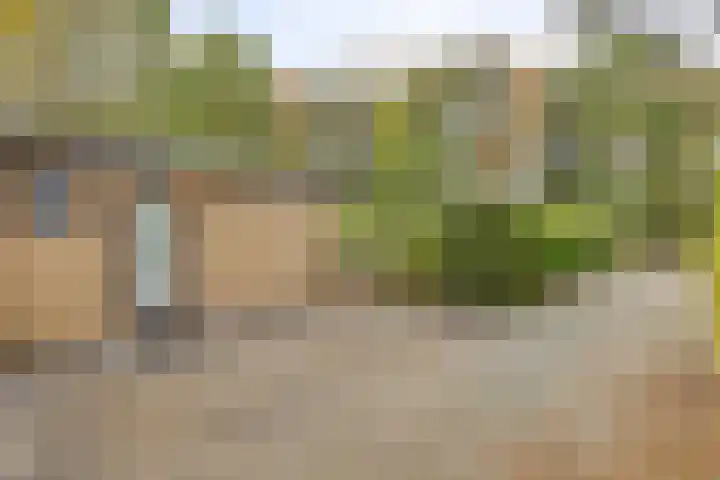 Veldkampweg 2 131 Epe thumbnail 21