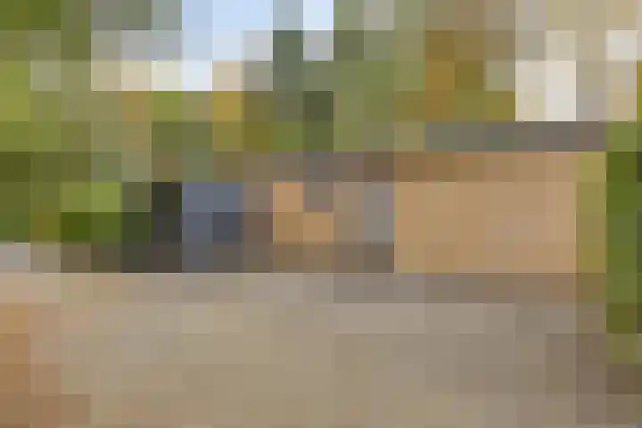 Veldkampweg 2 131 Epe thumbnail 22