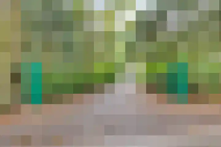Veldkampweg 2 131 Epe thumbnail 23