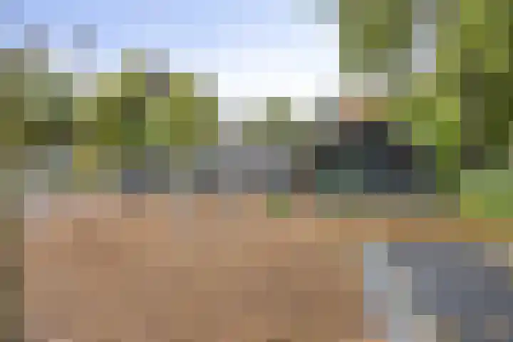 Veldkampweg 2 131 Epe thumbnail 24