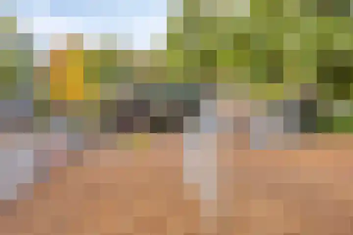 Veldkampweg 2 131 Epe thumbnail 25