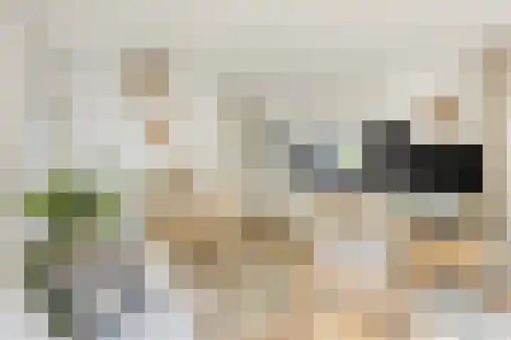 Veldkampweg 2 131 Epe thumbnail 6