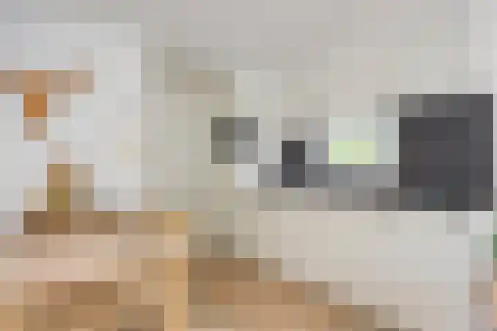 Veldkampweg 2 131 Epe thumbnail 7