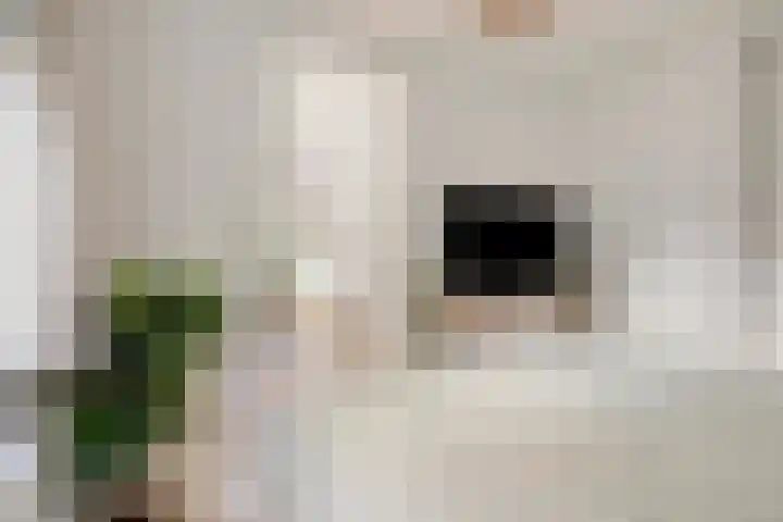 Veldkampweg 2 131 Epe thumbnail 8