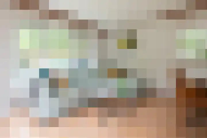 Veldkampweg 2 150 Epe thumbnail 10