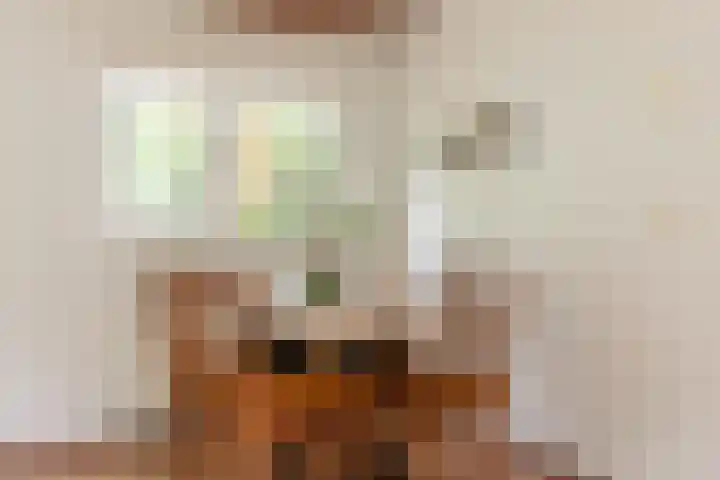 Veldkampweg 2 150 Epe thumbnail 13