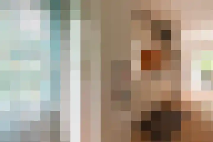 Veldkampweg 2 150 Epe thumbnail 15