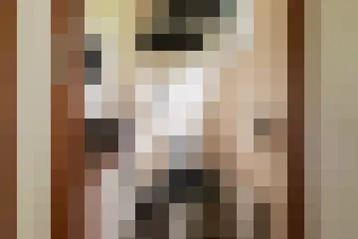Veldkampweg 2 150 Epe thumbnail 18