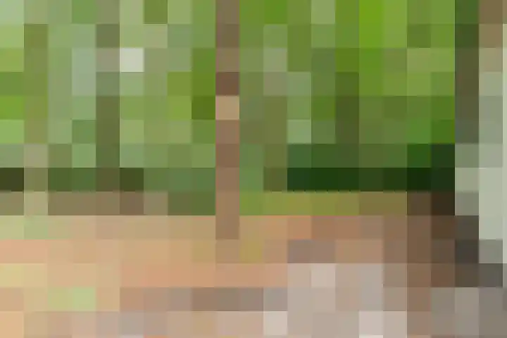 Veldkampweg 2 150 Epe thumbnail 20