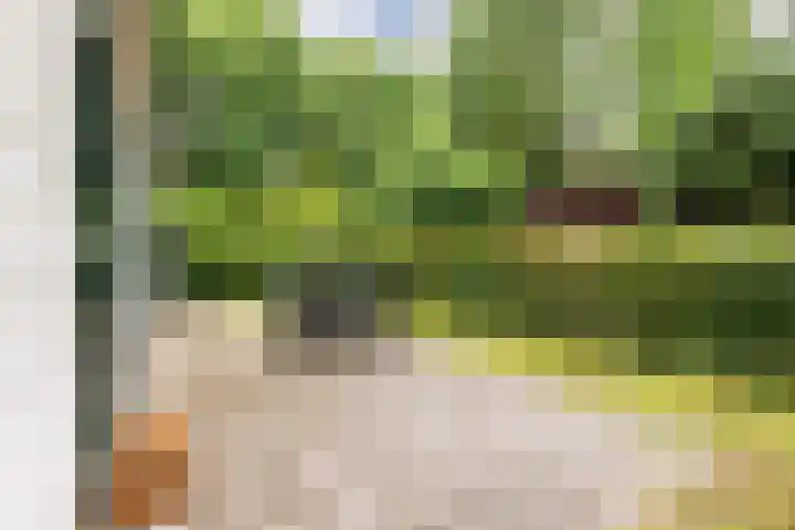 Veldkampweg 2 150 Epe thumbnail 23
