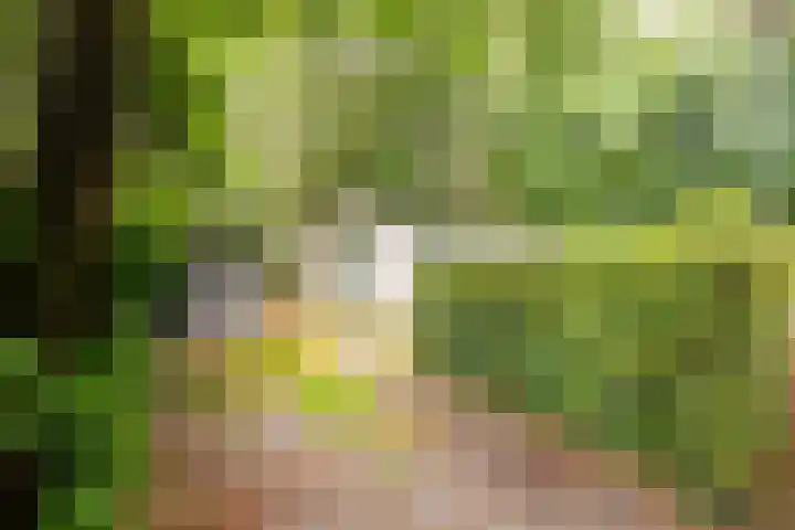Veldkampweg 2 150 Epe thumbnail 24