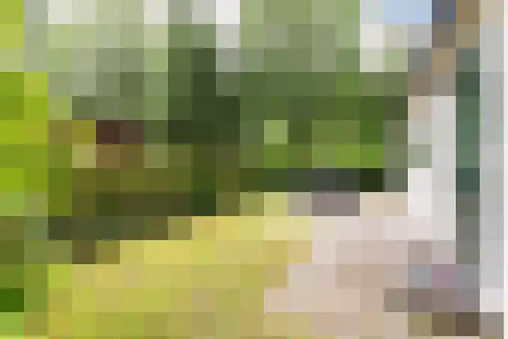 Veldkampweg 2 150 Epe thumbnail 6