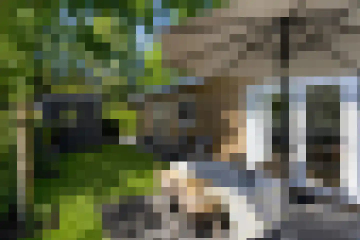 Veldkampweg 2 J3 Epe thumbnail 19
