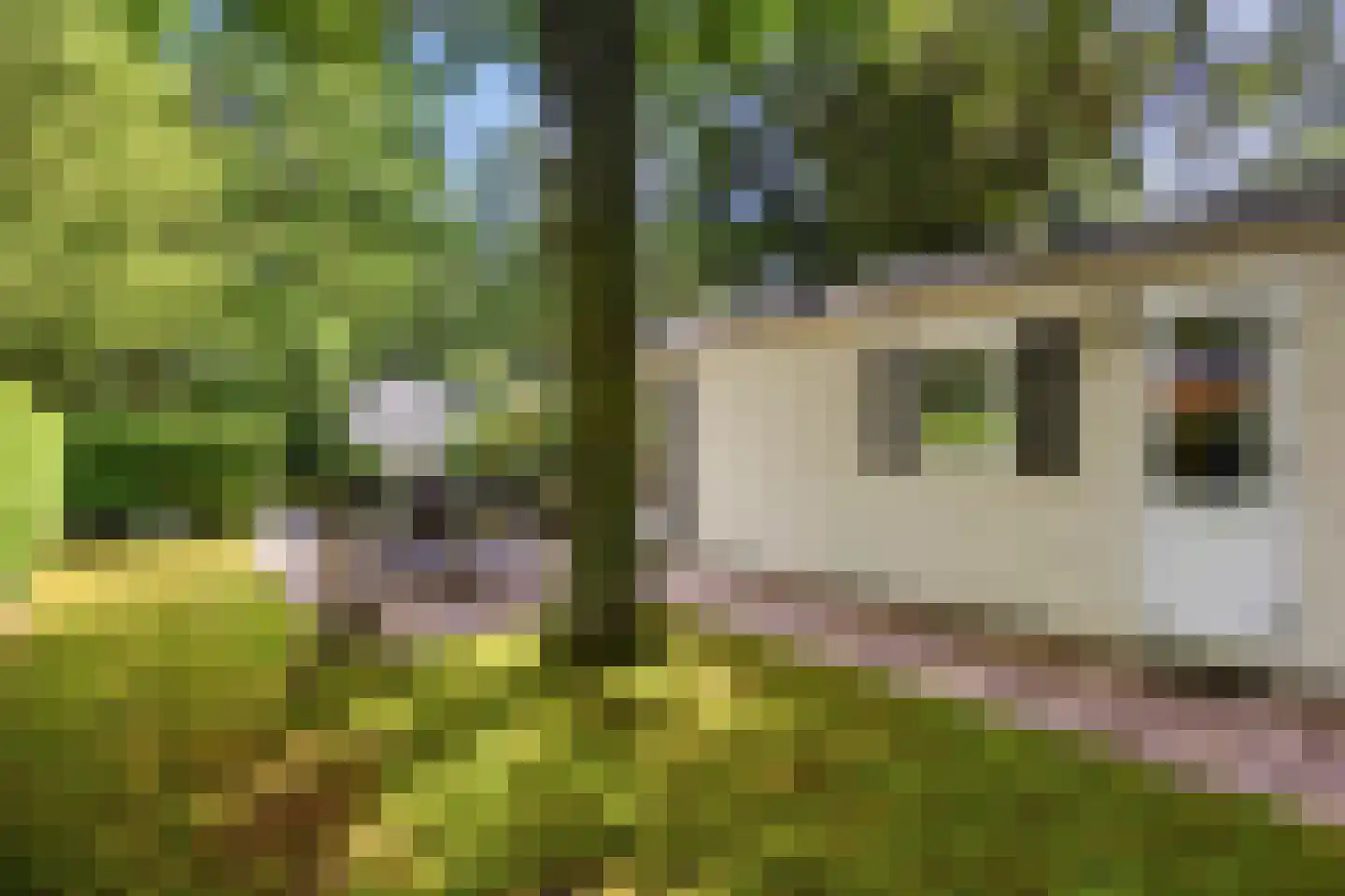 Veldkampweg 4 A135 Epe thumbnail 17