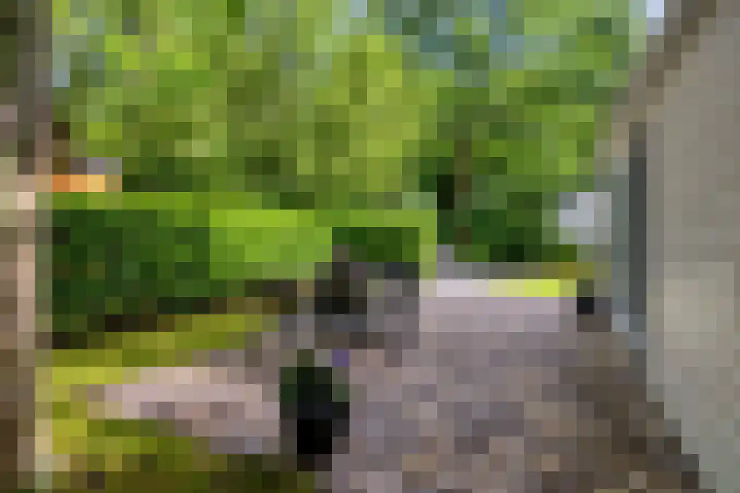 Veldkampweg 4 A135 Epe thumbnail 19