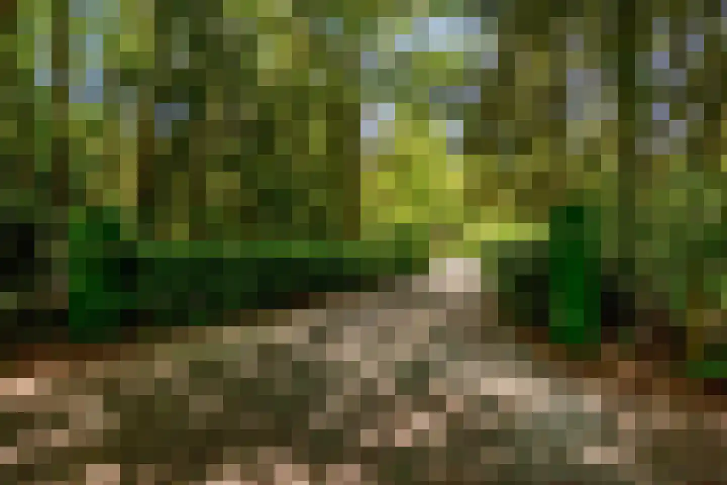 Veldkampweg 4 A135 Epe thumbnail 23