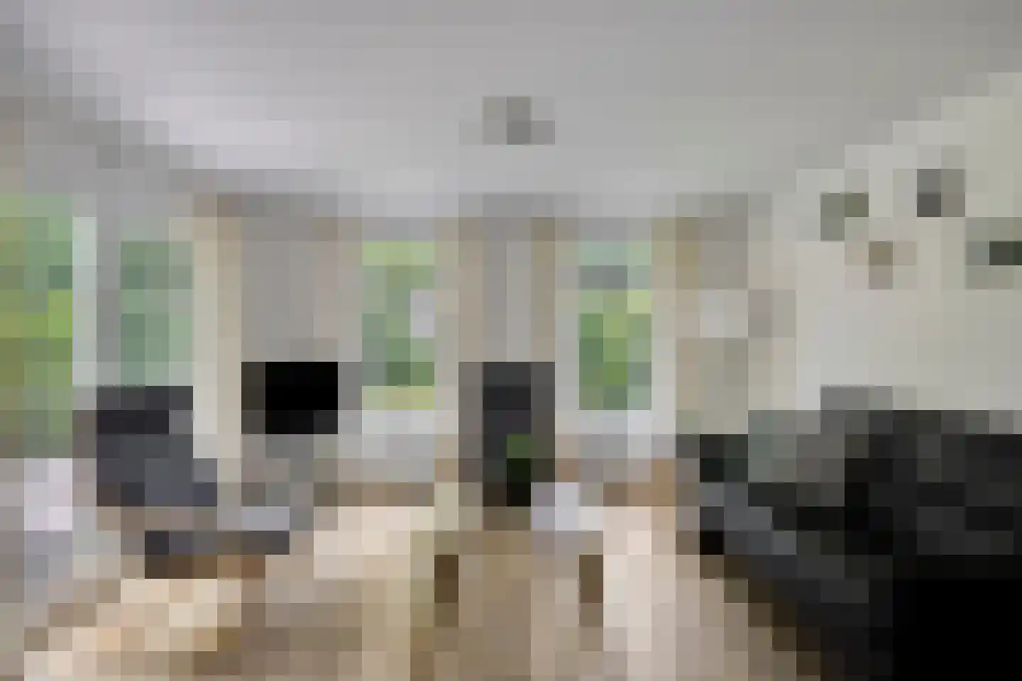 Veldkampweg 4 A135 Epe thumbnail 4