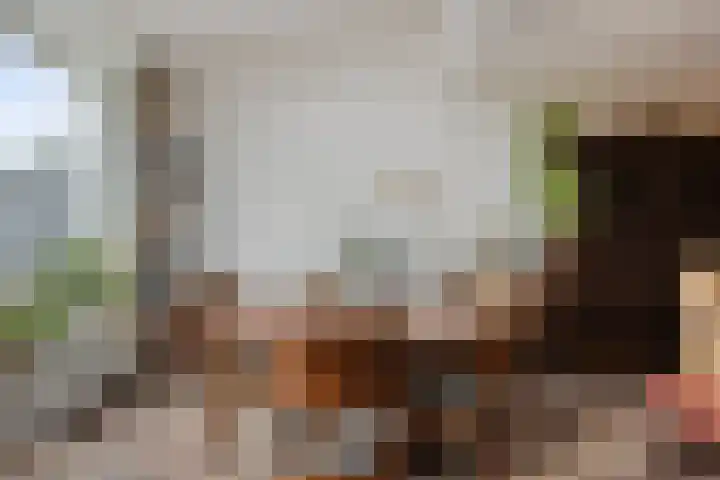Veldkant 6 Beuningen Gld thumbnail 15