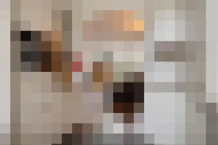 Veldkant 6 Beuningen Gld thumbnail 20
