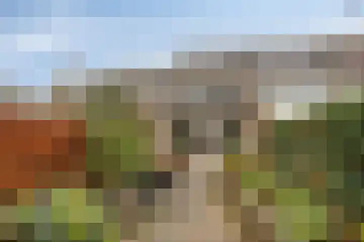 Veldkant 6 Beuningen Gld thumbnail 33